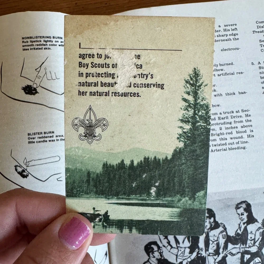 Scouting America typical illustration training